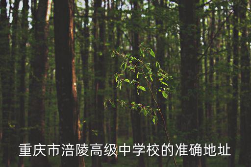 重慶市涪陵區黎明路70號，重慶市涪陵區黎明路33號是什么地方