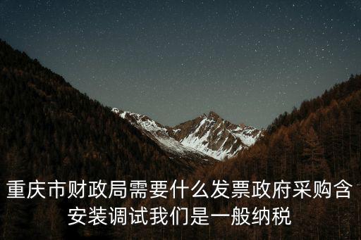 重慶市財政局需要什么發(fā)票政府采購含安裝調(diào)試我們是一般納稅