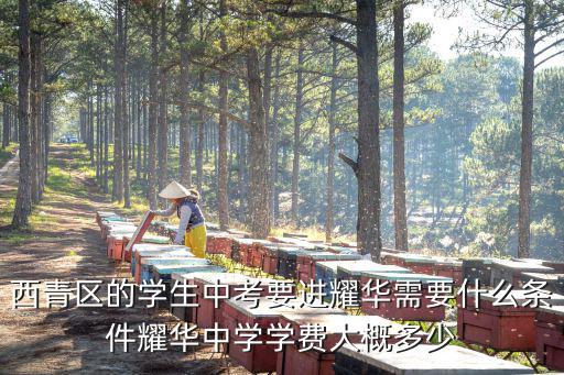 西青區(qū)的學(xué)生中考要進(jìn)耀華需要什么條件耀華中學(xué)學(xué)費(fèi)大概多少