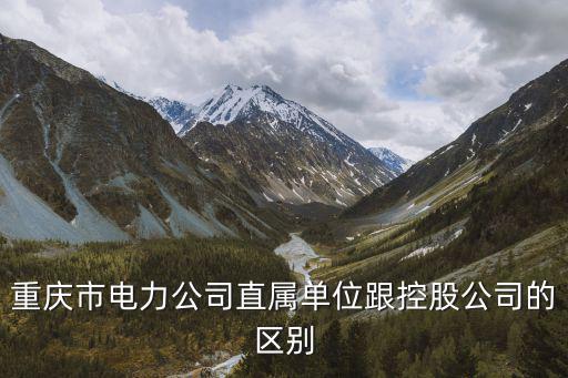 重慶市電力公司直屬單位跟控股公司的區別