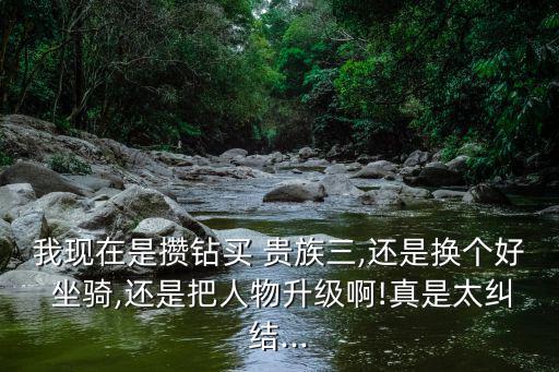我現在是攢鉆買 貴族三,還是換個好 坐騎,還是把人物升級啊!真是太糾結...