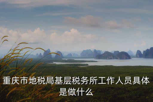 重慶市地稅局基層稅務(wù)所工作人員具體是做什么
