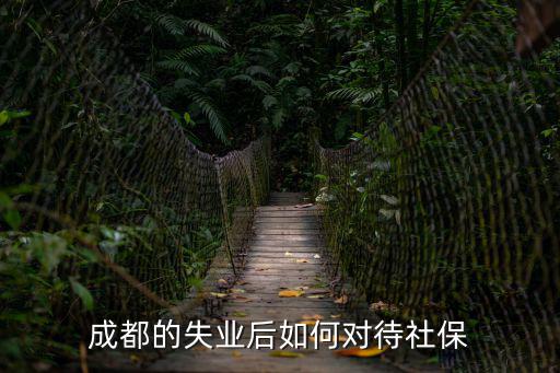 成都的失業后如何對待社保