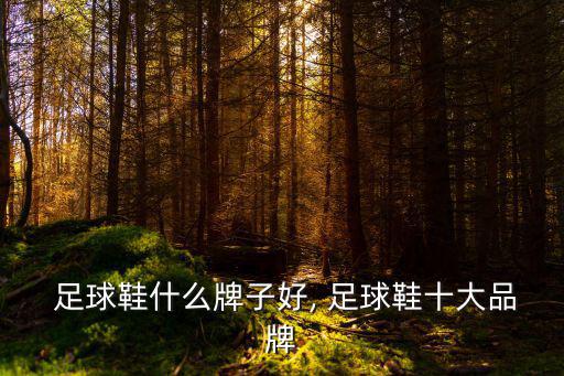  足球鞋什么牌子好, 足球鞋十大品牌
