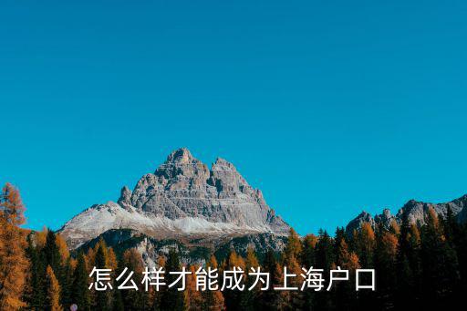 怎么樣才能成為上海戶口