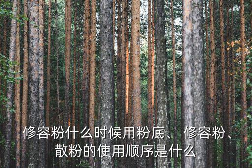  修容粉什么時(shí)候用粉底、 修容粉、散粉的使用順序是什么