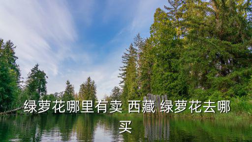 西藏綠蘿花,綠蘿花的介紹是錯誤的不清楚是否真的有效