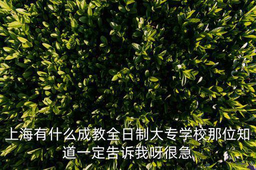 上海有什么成教全日制大專學(xué)校那位知道一定告訴我呀很急