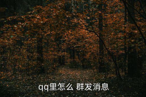 qq消息怎么群發(fā),如何在聊天界面使用群發(fā)消息工具?