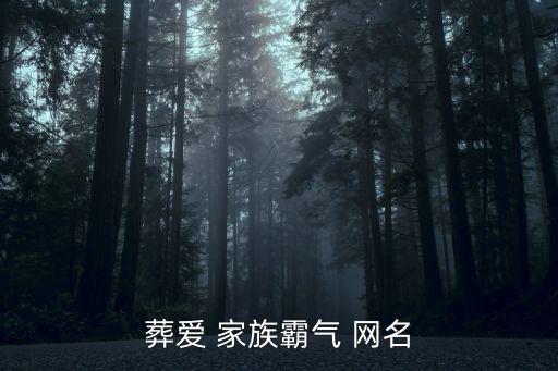 葬愛 家族霸氣 網(wǎng)名