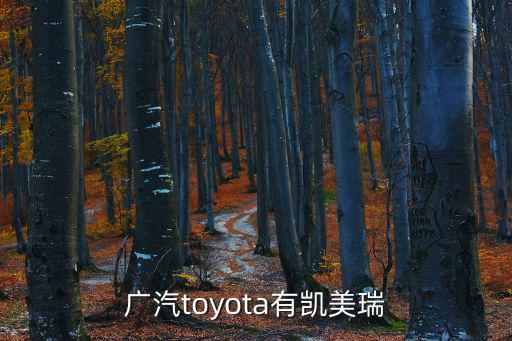 廣汽toyota有凱美瑞