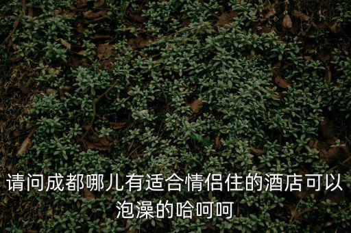 請問成都哪兒有適合情侶住的酒店可以泡澡的哈呵呵