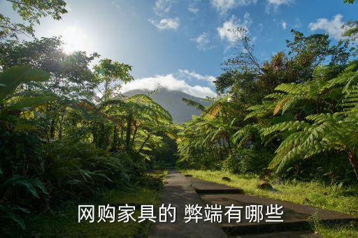 網購的弊端,網購家具優缺點對比參考資料
