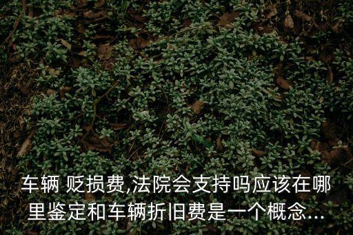 車輛 貶損費,法院會支持嗎應該在哪里鑒定和車輛折舊費是一個概念...