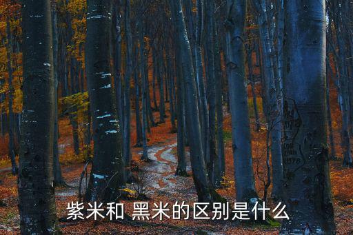 紫米和黑米哪個(gè)好,紫米黑米有什么區(qū)別?