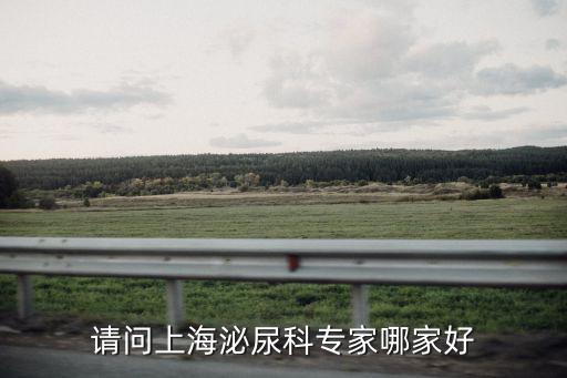 請問上海泌尿科專家哪家好