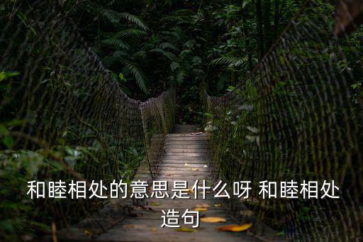  和睦相處的意思是什么呀 和睦相處造句