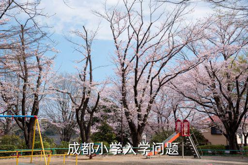 成都小學入學問題