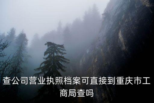 查公司營(yíng)業(yè)執(zhí)照檔案可直接到重慶市工商局查嗎
