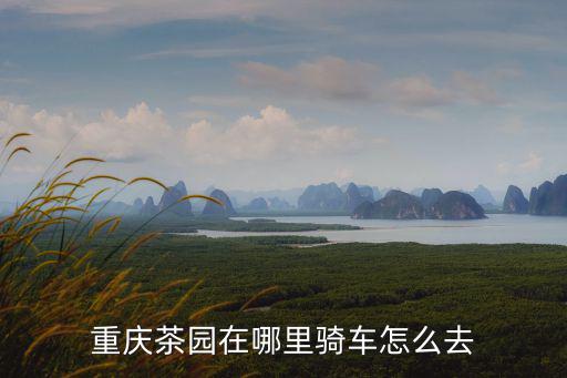 重慶市智谷在茶園嗎，重慶茶園在哪里騎車怎么去