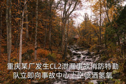 重慶某廠發生CL2泄漏事故消防特勤隊立即向事故中心上空噴灑氫氧
