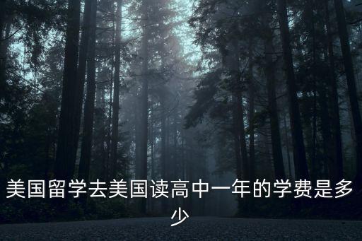 美國留學(xué)去美國讀高中一年的學(xué)費是多少
