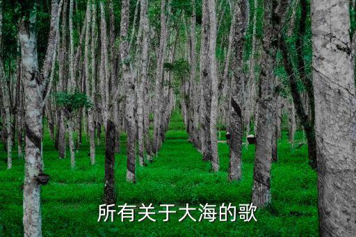 所有關于大海的歌