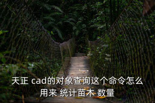天正 cad的對(duì)象查詢這個(gè)命令怎么用來 統(tǒng)計(jì)苗木 數(shù)量