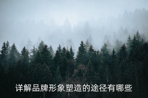 品牌塑造，品牌塑造的步驟