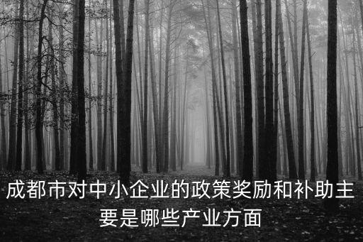 成都市對中小企業(yè)的政策獎勵和補助主要是哪些產(chǎn)業(yè)方面