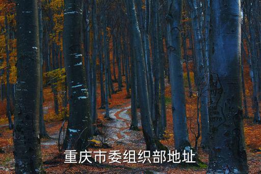 重慶市委組織部地址