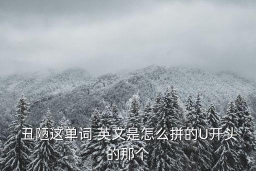  丑陋這單詞 英文是怎么拼的U開頭的那個