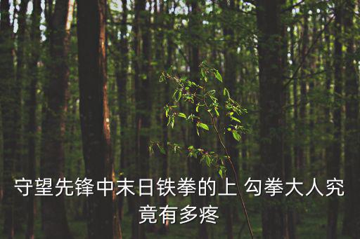 守望先鋒中末日鐵拳的上 勾拳大人究竟有多疼