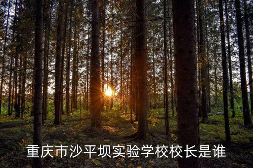 重慶市社科院田，重慶市沙平壩實驗學校校長是誰