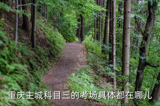 重慶主城科目三的考場具體都在哪兒