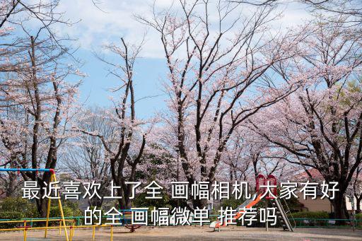 最近喜歡上了全 畫幅相機,大家有好的全 畫幅微單 推薦嗎