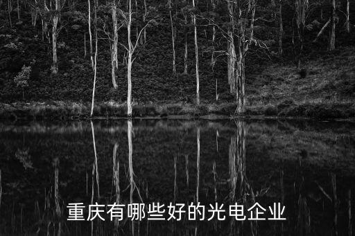 重慶有哪些好的光電企業