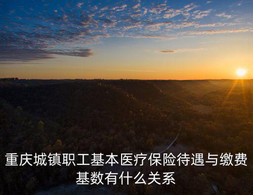重慶城鎮職工基本醫療保險待遇與繳費基數有什么關系