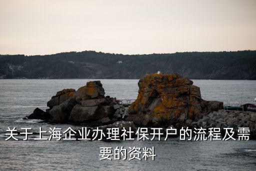 關于上海企業辦理社保開戶的流程及需要的資料