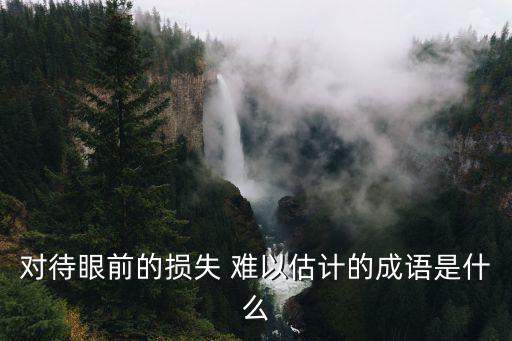 難以估量,估量:估量冠病損失的程度和范圍