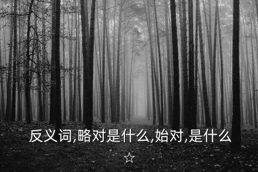 略的反義詞,《說文解字》:省略地也就是全球運營