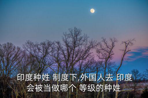  印度種姓 制度下,外國人去 印度會被當做哪個 等級的種姓