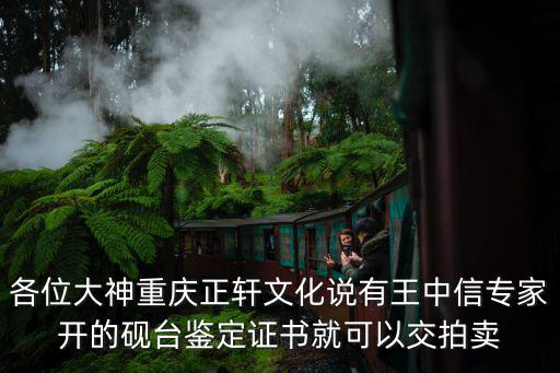 各位大神重慶正軒文化說有王中信專家開的硯臺鑒定證書就可以交拍賣