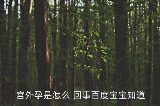  宮外孕是怎么 回事百度寶寶知道