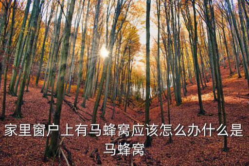 家里窗戶上有馬蜂窩應該怎么辦什么是馬蜂窩