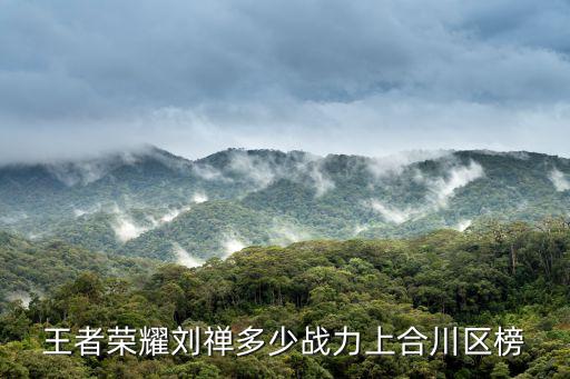 重慶市合川區(qū)英雄，重慶合川區(qū)理科狀元