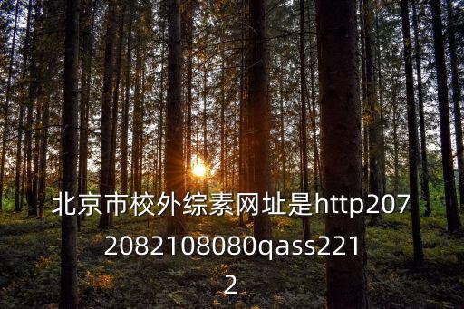 北京市校外綜素網址是http2072082108080qass2212
