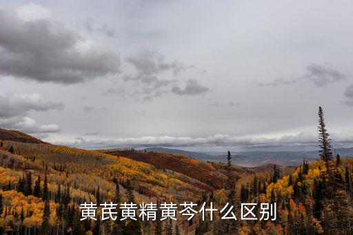  黃芪黃精黃芩什么區別