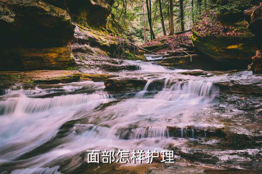 面部怎樣護理