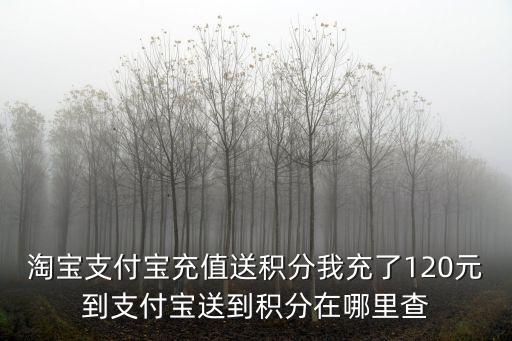 淘寶支付寶充值送積分我充了120元到支付寶送到積分在哪里查